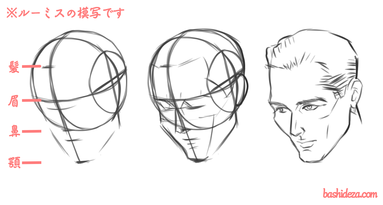 右向きの顔を描くと歪む 歪まないアタリの取り方と 歪んだ時の直し方 ばしでざ